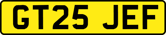 GT25JEF