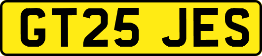 GT25JES