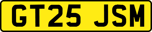 GT25JSM