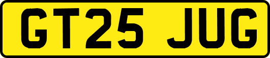 GT25JUG