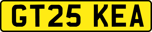 GT25KEA