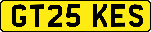 GT25KES