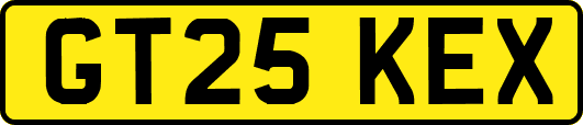 GT25KEX