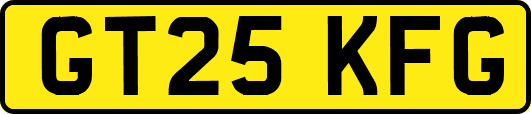 GT25KFG