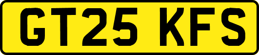 GT25KFS