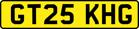 GT25KHG