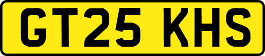 GT25KHS