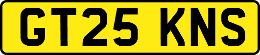 GT25KNS