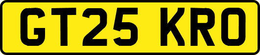 GT25KRO