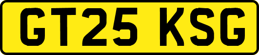 GT25KSG