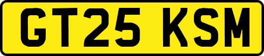 GT25KSM