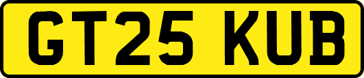 GT25KUB