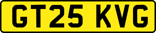 GT25KVG
