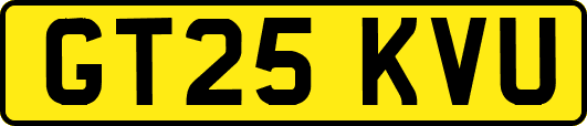 GT25KVU