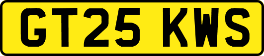 GT25KWS