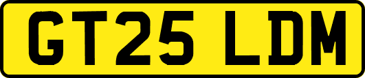 GT25LDM