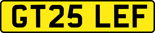 GT25LEF