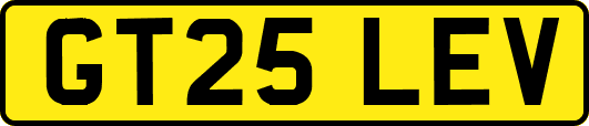 GT25LEV