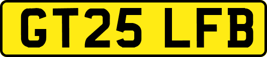 GT25LFB