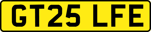 GT25LFE