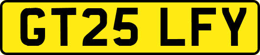 GT25LFY