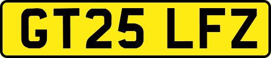 GT25LFZ
