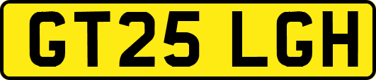 GT25LGH