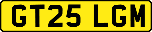 GT25LGM