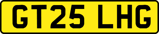 GT25LHG