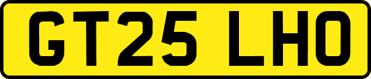 GT25LHO