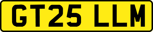 GT25LLM