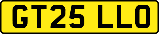GT25LLO