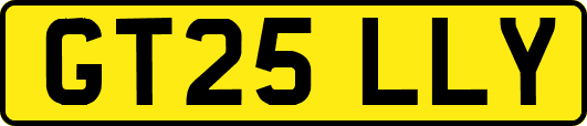GT25LLY