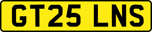 GT25LNS