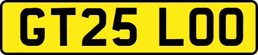 GT25LOO
