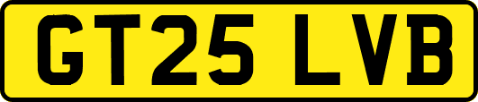 GT25LVB