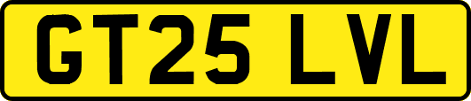 GT25LVL