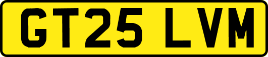 GT25LVM