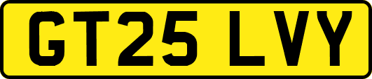 GT25LVY