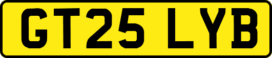GT25LYB