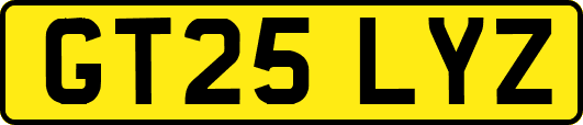 GT25LYZ