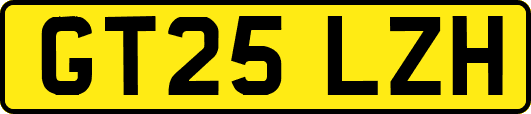 GT25LZH