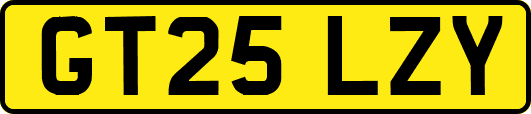 GT25LZY
