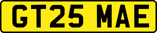 GT25MAE
