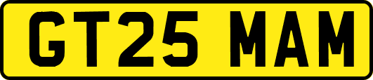 GT25MAM