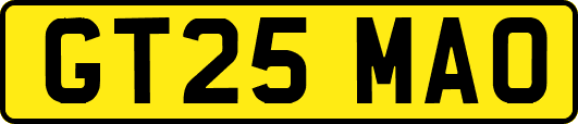 GT25MAO