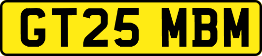GT25MBM