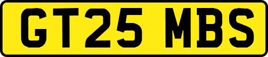 GT25MBS