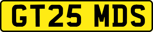 GT25MDS
