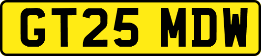 GT25MDW
